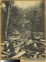 臺中州新高郡番地巒大山運材所作業之景藏品圖，第1張